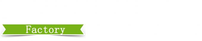 25T wysokiej dokładności sterowania Prasa wulkanizująca płyty 2