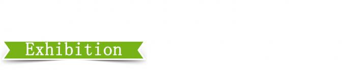 25T wysokiej dokładności sterowania Prasa wulkanizująca płyty 4