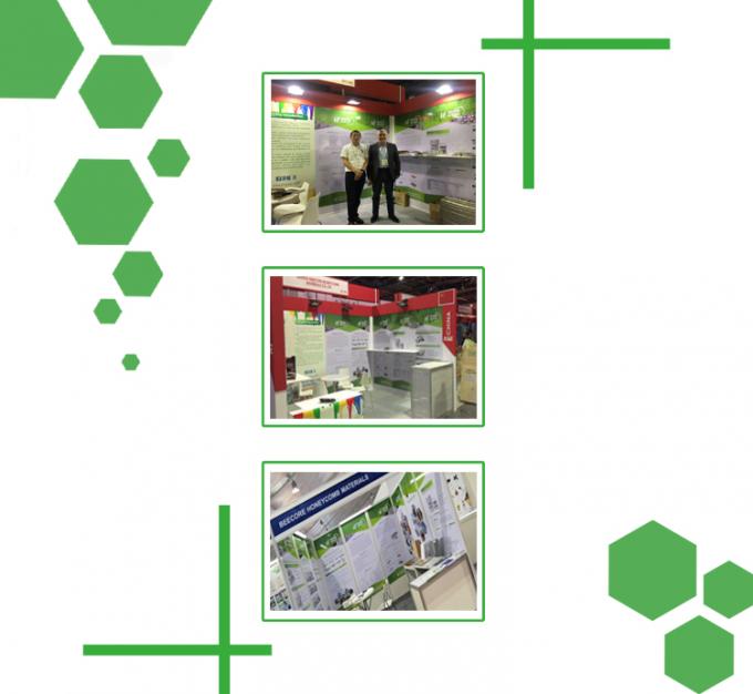 25T wysokiej dokładności sterowania Prasa wulkanizująca płyty 5