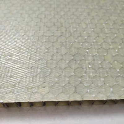 1500x2100mm FRP Panele z pączkami miodnymi, Panel Sandwich z pączkami miodnymi z włókien węglowych